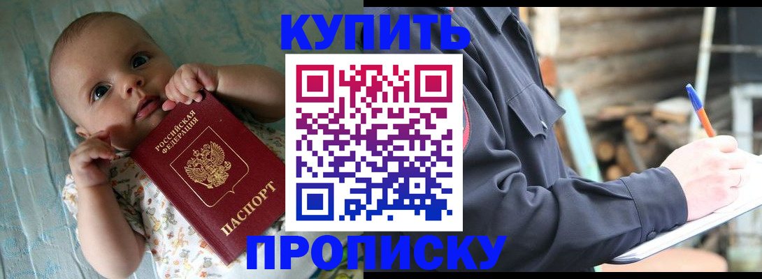 прописка поиск в Курчалом