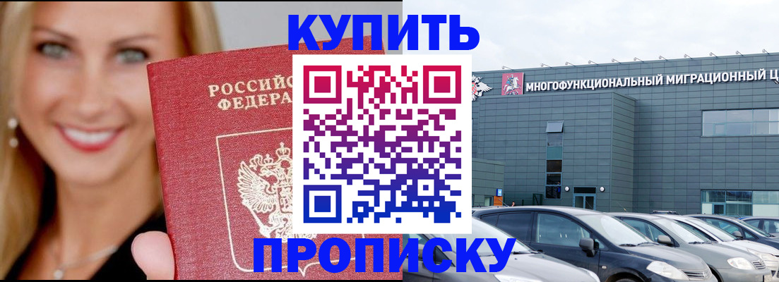 прописка поиск в Курчалом